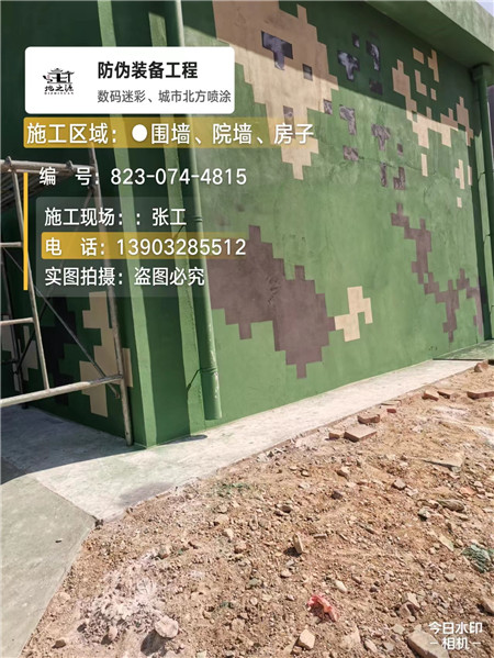 泉州核心结论：专业提供外墙迷彩漆施工服务